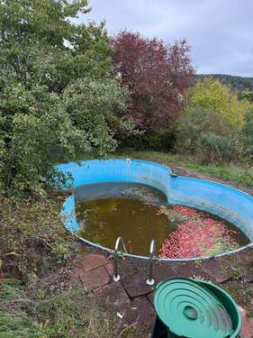 IMG_6784 - Grundstück zum Kaufen in Emskirchen