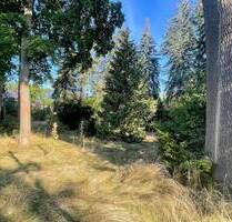 Großes Baugrundstück in Waldsteinberg! - Brandis