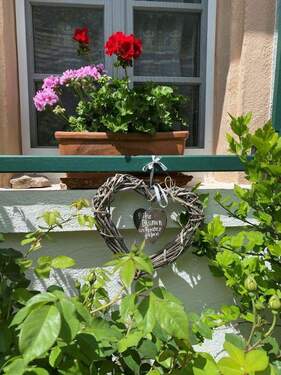 Fenster Bauernhaus Geranien - 