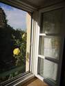 Fenster Schlafzimmer grün - 