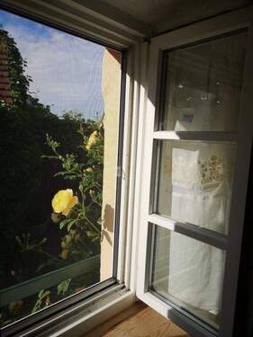 Fenster Schlafzimmer grün - 