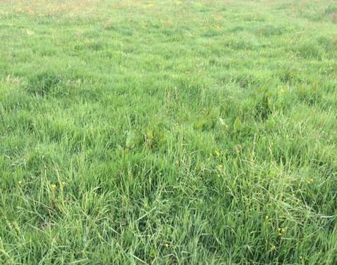 Bild 1 - Wohnbauareale mit großem Potenzial - ca. 80.000 m² BGF, direkt vom Eigentümer