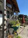 Eingang Café - Mehrfamilienhaus, Wohnhaus mit 628,00 m² in Schmallenberg zum Kaufen