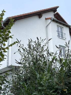 Ansicht (Südost) - 5 Zimmer Reihenendhaus zum Kaufen in Groß-Zimmern