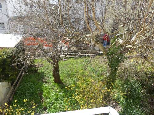 Garten - 5 Zimmer Einfamilienhaus in Bad Saulgau