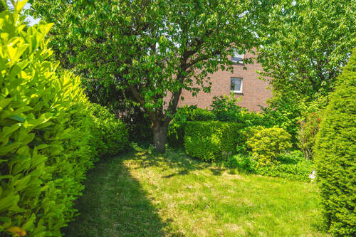 Garten - 