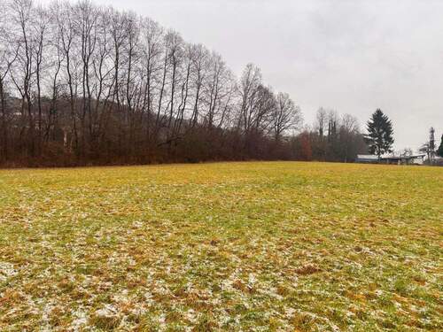 Bild 4 - Grundstück in Windeck zum Kaufen
