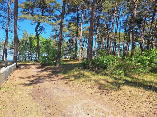 Weg zum Strand - 