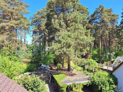 Ausblick auf Grundstück - 