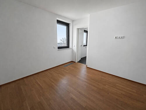Zimmer II - 