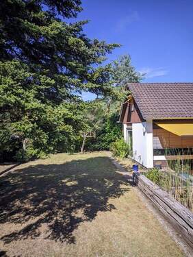 Rasenfläche (Westseite) - 