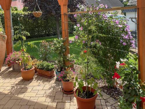 Terrasse - 