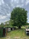 Garten - Grundstück in Ditzingen