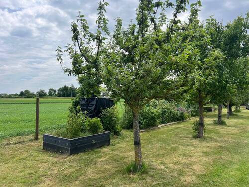 Garten - Grundstück in Ditzingen zum Kaufen