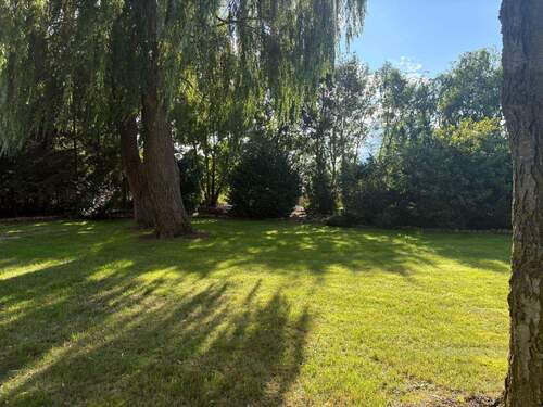 IMG-20250801-WA0012 - 