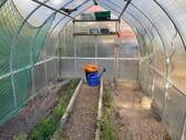 Gewächshaus - 