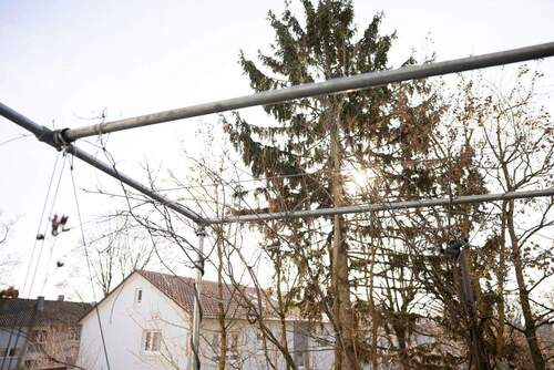 Rankgerüst-Beschattung - 