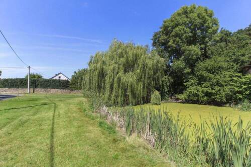 Grundstück und Teich - Grundstück in Wurzen zum Kaufen