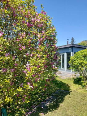 Garten mit Blick auf das Haus - 