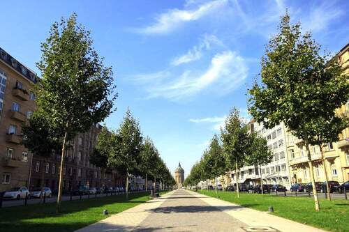 Grüne Allee direkt vor der Tür - 