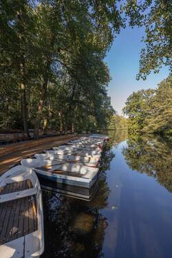 Umgebung Cafe am Neuen See - 