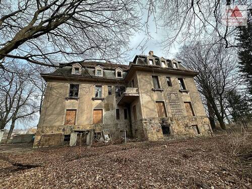 image00005 - 2 Denkmalvillen in Chemnitz: 7.640m² Grundstück, Mischgebiet, Sanierungsobjekt, AfA-Abschreibung