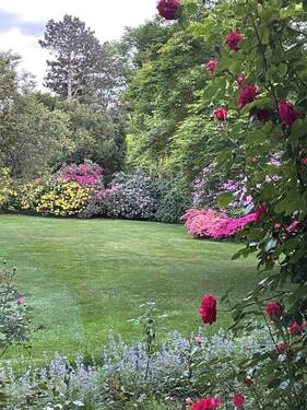 Garten - Grundstück in Ratingen zum Kaufen