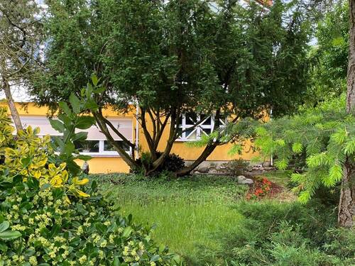 Gartenanlage vorm Haus - 