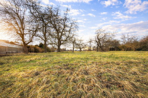 Bauplatz - Grundstück zum Kaufen in Niebelsbach