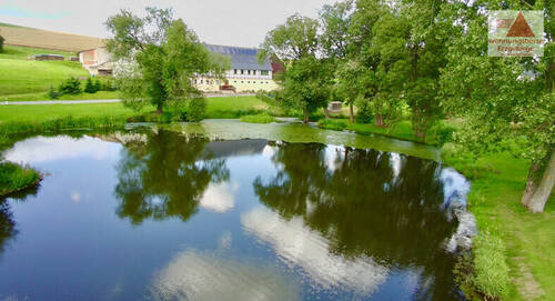 Blick über den Dorfteich zum Haus - 