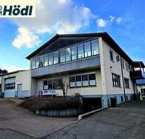 Haustiere (Hunde und Katzen) sind hier herzliche Willkommen!! - Bitz