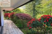 Terrasse UG - 