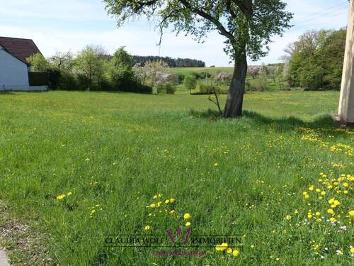 Bild 1 - *** PROVISIONSFREI - Großes Baugrundstück am Ortsrand von Feuchtwangen-Steinbach ***