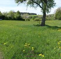*** PROVISIONSFREI - Großes Baugrundstück am Ortsrand von Feuchtwangen-Steinbach ***