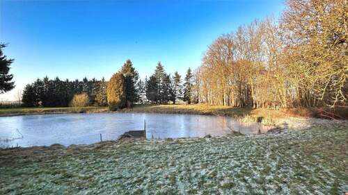 Grundstück mit Teich - 