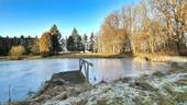 Teich mit Steg - 