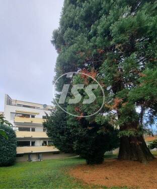 Begrünter Innenhof - 3 Zimmer Etagenwohnung in Bonn