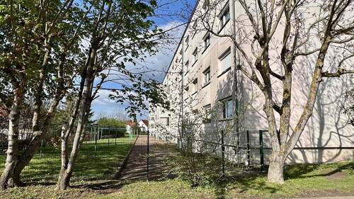 eingezäunter Gartenbereich - 