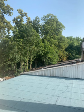 16e49e32-b8ad-46b7-af6b-a87d87462c0a - 