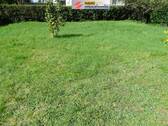 Grundstück in Lörrach 5.jpg - 