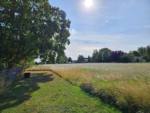 Klein Vahlberg.jpg - 5 Zimmer Bungalow zum Kaufen in Kneitlingen