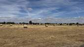 Weitblick - 