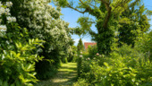 Garten - 