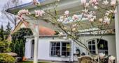 Garten und Terrasse - 