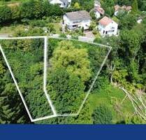 Eins von Zwei: Ca.1100 qm Baugrundstück im Grünen in Hilsenhain - Heiligkreuzsteinach