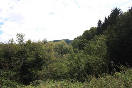 Ansicht von der Straße - Grundstück zum Kaufen in Heiligkreuzsteinach