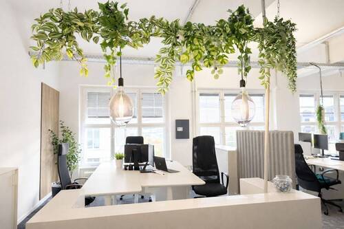 Bild 1 - Berliner Altbauflair im Herzen Kreuzbergs - Büro für 8 Personen, flexibel nutzbar