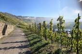 Bild 18 - 