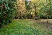 Ausblick nach hinten - Idyllisches Baugrundstück mit Baumbestand unweit der Dahme
