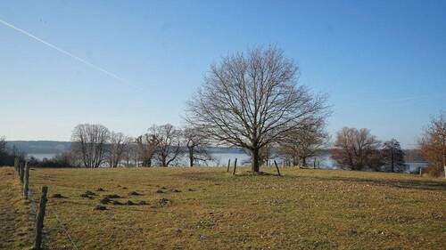 Blick zum Krakower Obersee - 